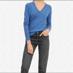 Everlane 100% Cashmere V-neck Sweater